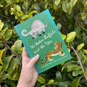 VINTAGE BOOK 🐯 THE WATER-BUFFALO AND THE TIGER: FOLK TALES FROM CHINA . 1980